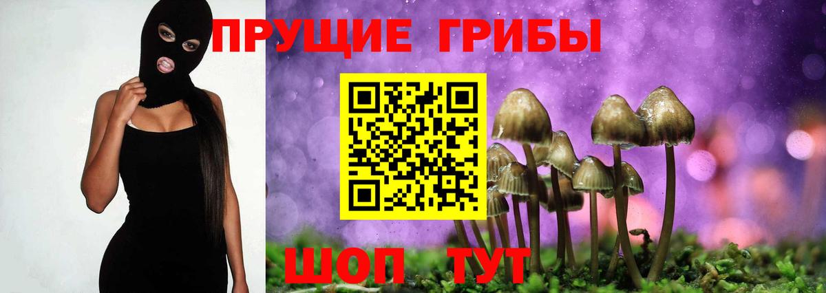 Галлюциногенные грибы прущие грибы Кириши