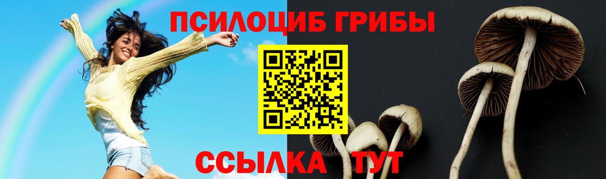 Галлюциногенные грибы Cubensis  Галлюциногенные грибы GOLDEN TEACHER  Кириши  Вход с VPN 
